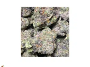 Purple Gelato – AAAA – 26% THC