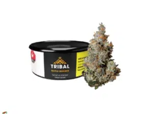 Triple Burger - Tribal Dried Flower