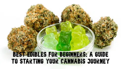 Best Edibles for Beginners