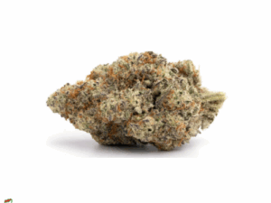 Girl Scout Cookies