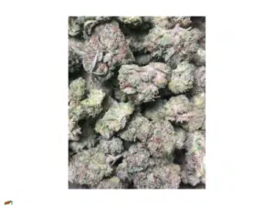Pink Pluto Small Buds