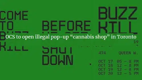 OCS to Launch Fake "Cannabis Shop" Pop-Up in Toronto