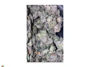 Pink Goo LOS Small Buds