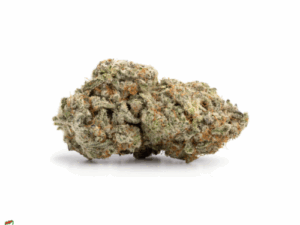 Zombie Haze AAAA – 27% THC