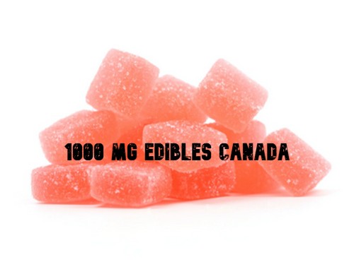 1000 mg edibles Canada