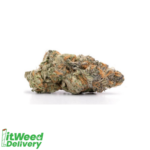 Birthday Cake – Sativa