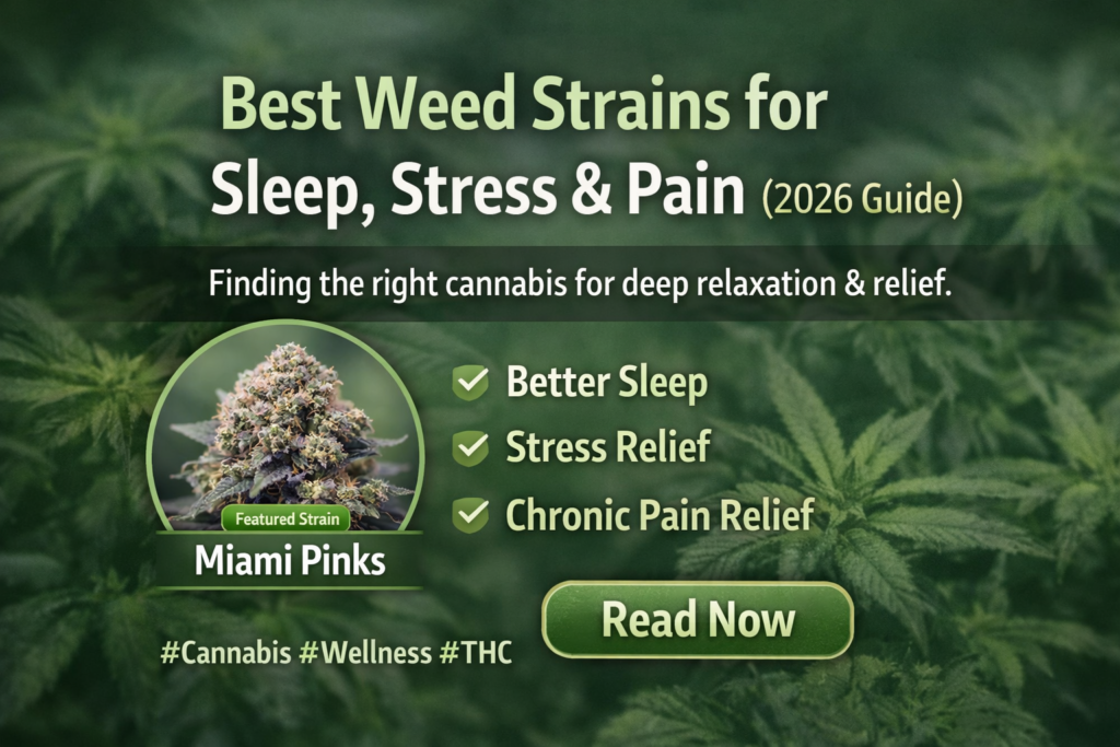 Best strain for sleep by lit weed delivery.